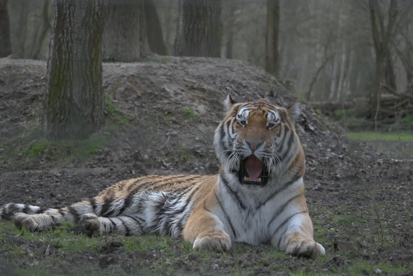Photographie animaux — animaux-28 — Freely Cook