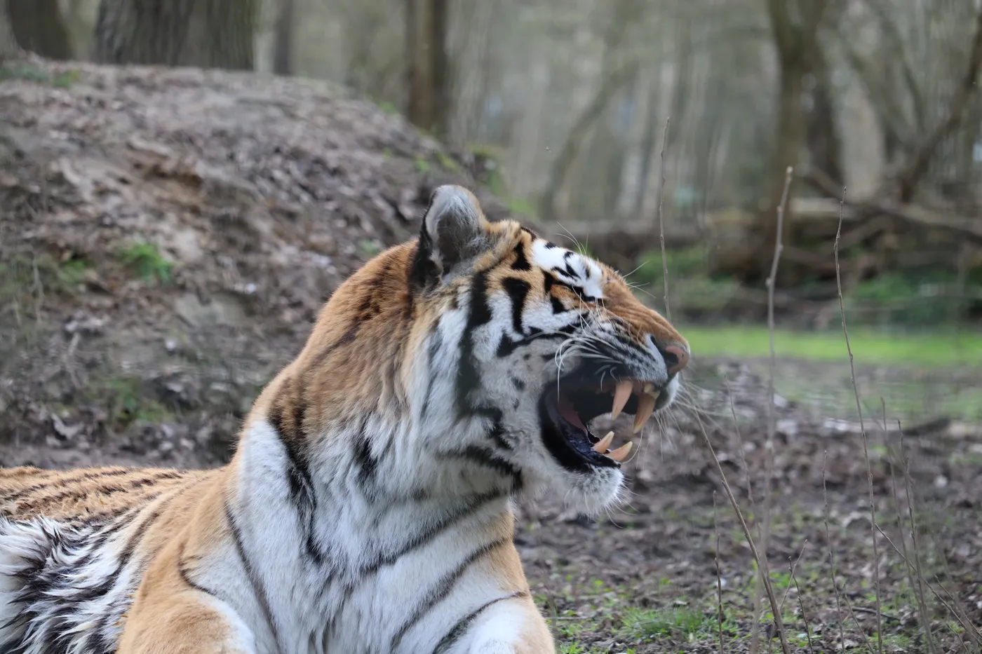 Photographie animaux — animaux-29 — Freely Cook