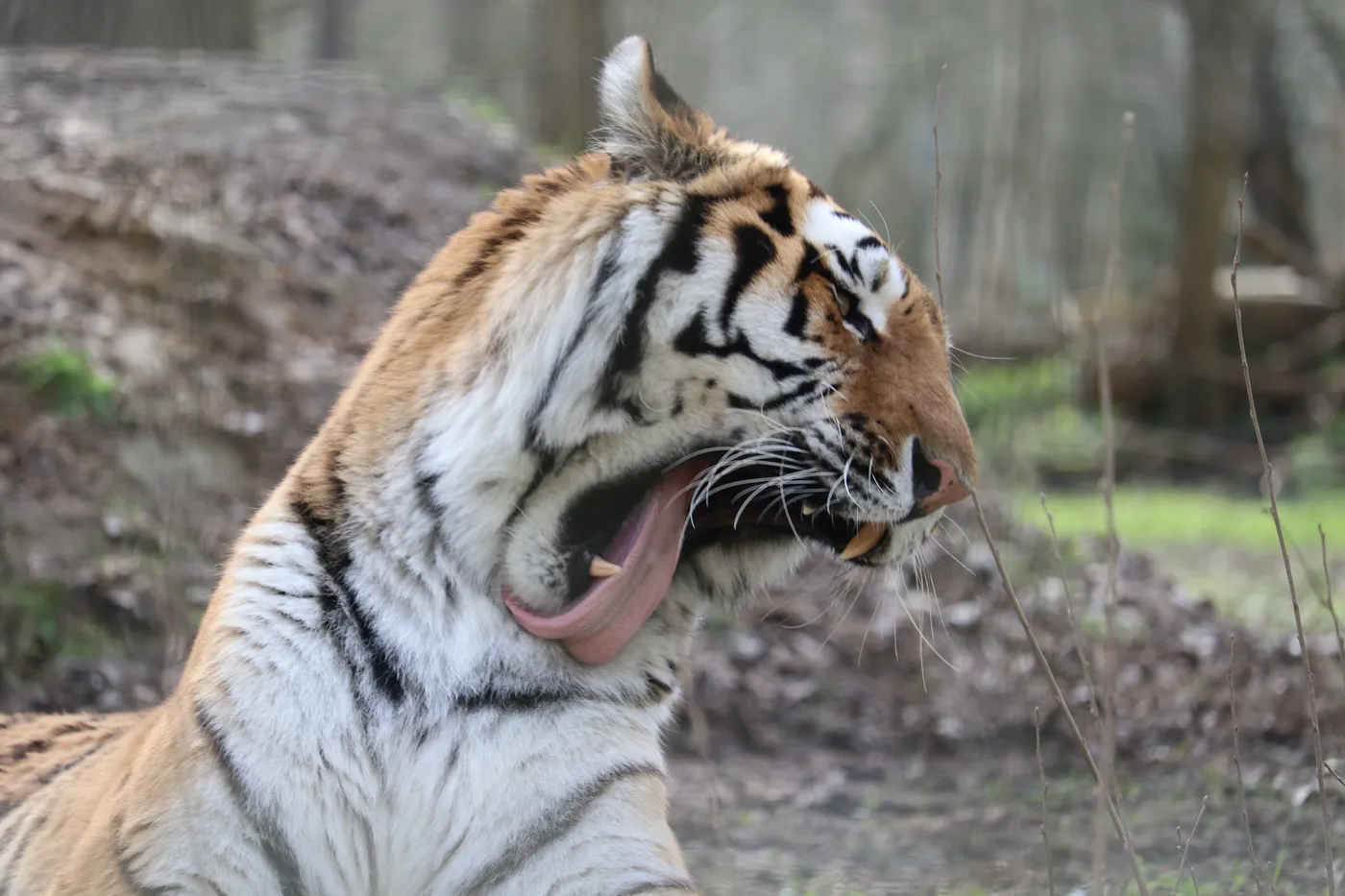 Photographie animaux — animaux-30 — Freely Cook
