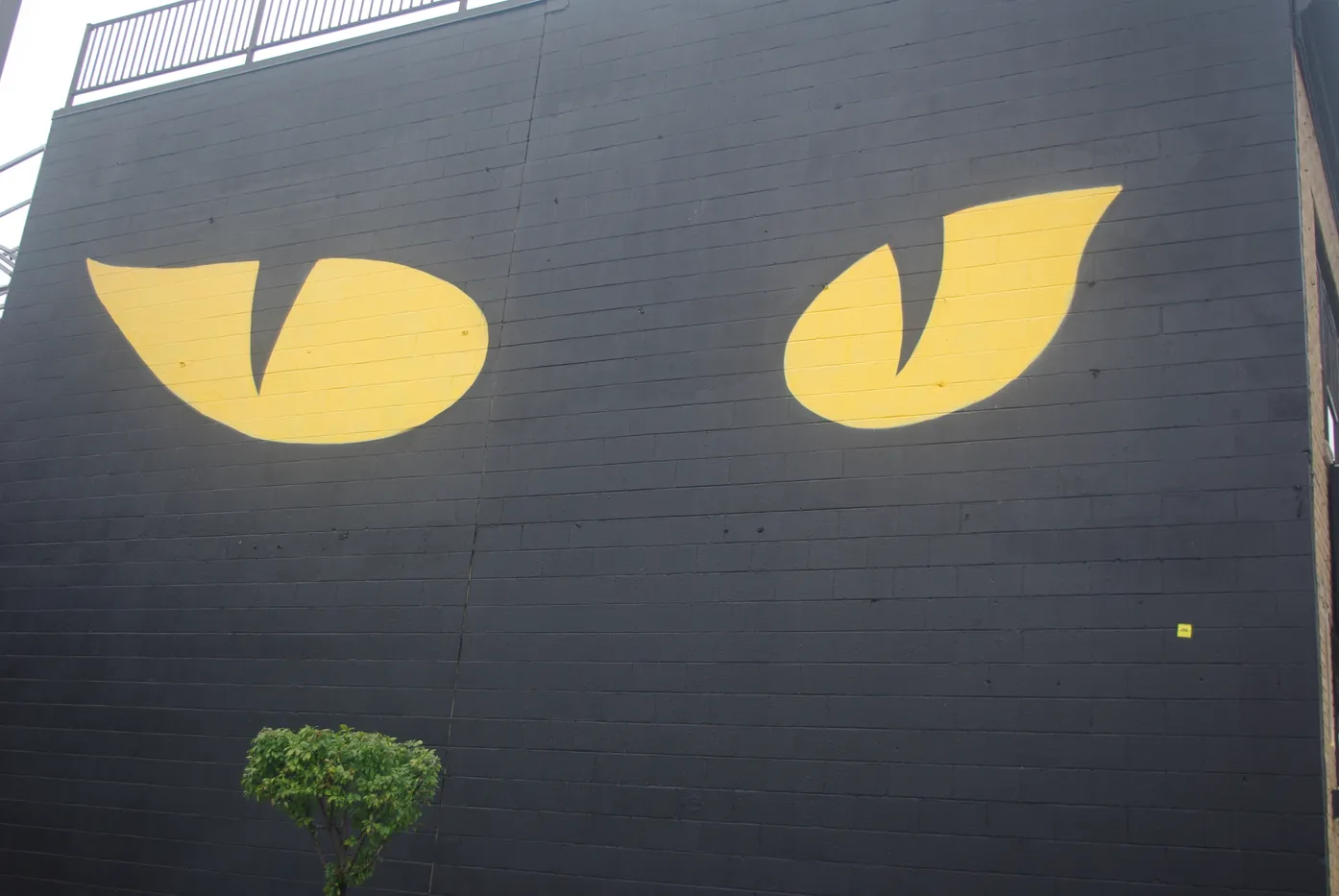 Photographie street art — street-art-10 — Freely Cook