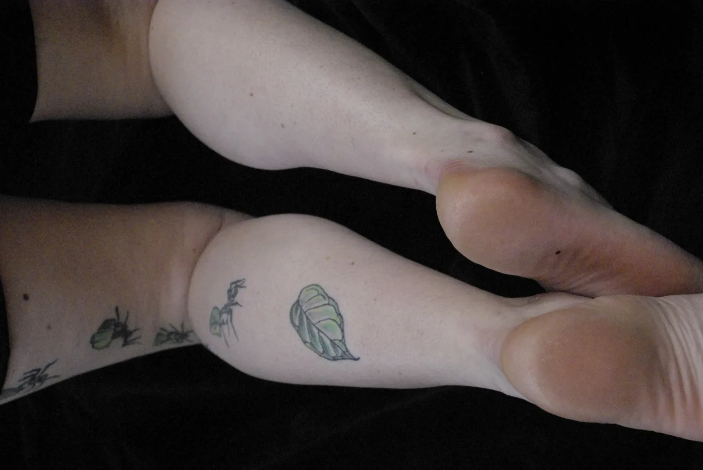 Photographie tattoo - tattoo-29 - Freely Cook